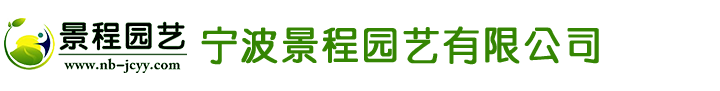 【官網(wǎng)】廣州雙槍機(jī)電設(shè)備有限公司|廚業(yè)專(zhuān)用風(fēng)機(jī)|廚業(yè)離心風(fēng)機(jī)|風(fēng)動(dòng)脫油智能變頻煙罩